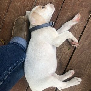 Meet your Posher, Tyra